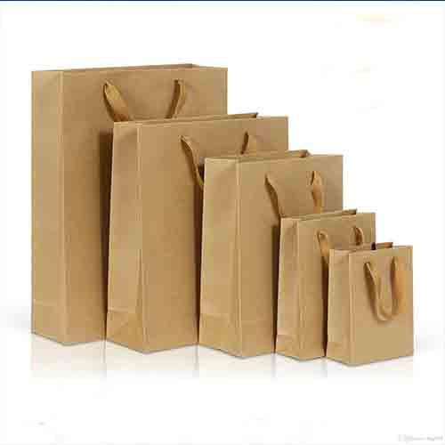 Paper Bags | Vamsar Exports